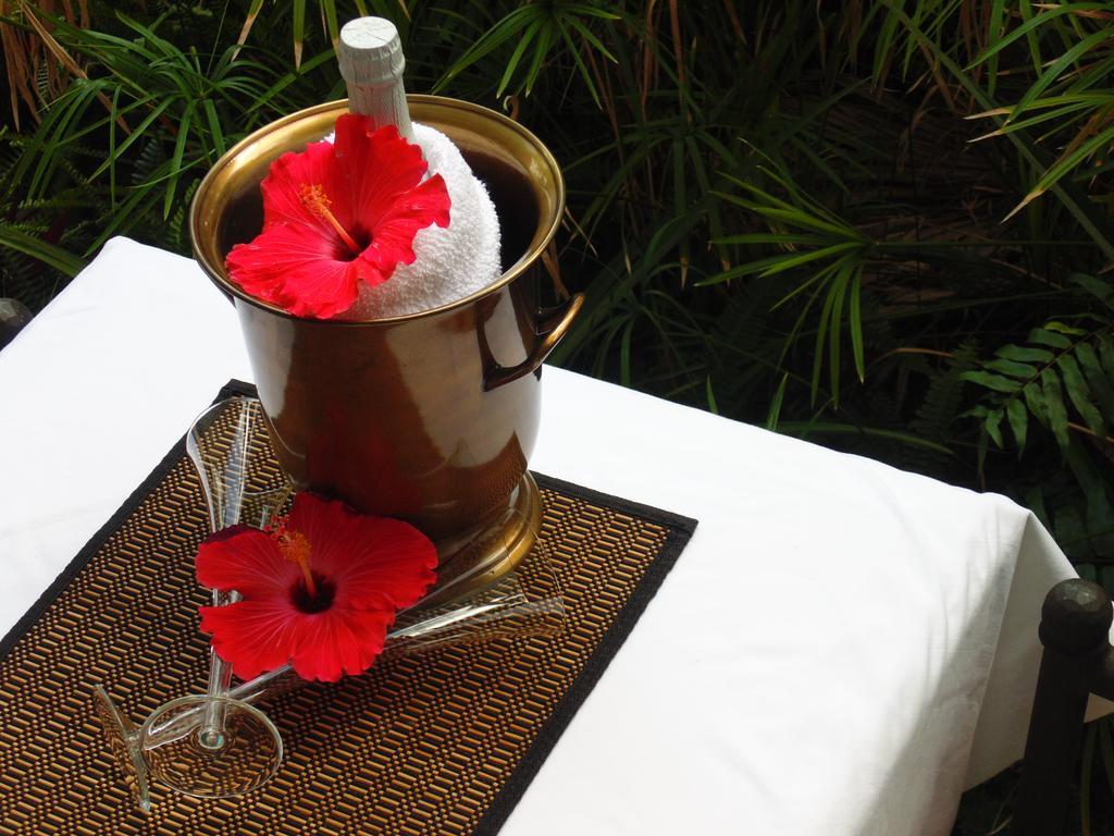 Cheston House - Clothing Optional All Male Guesthouse Fort Lauderdale Ngoại thất bức ảnh